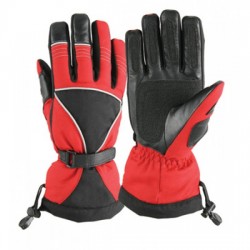 Motorbike Gloves